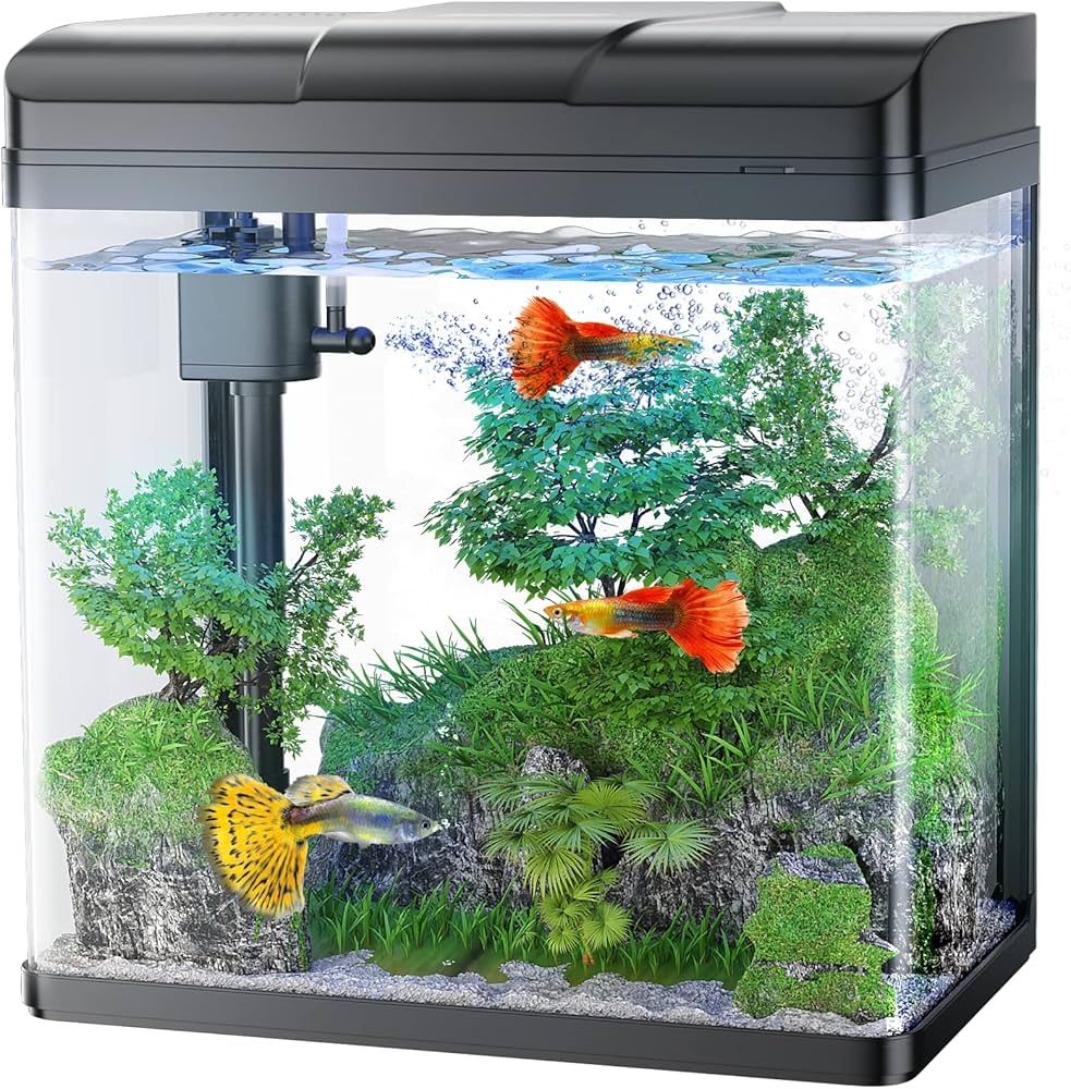 Test Fishies