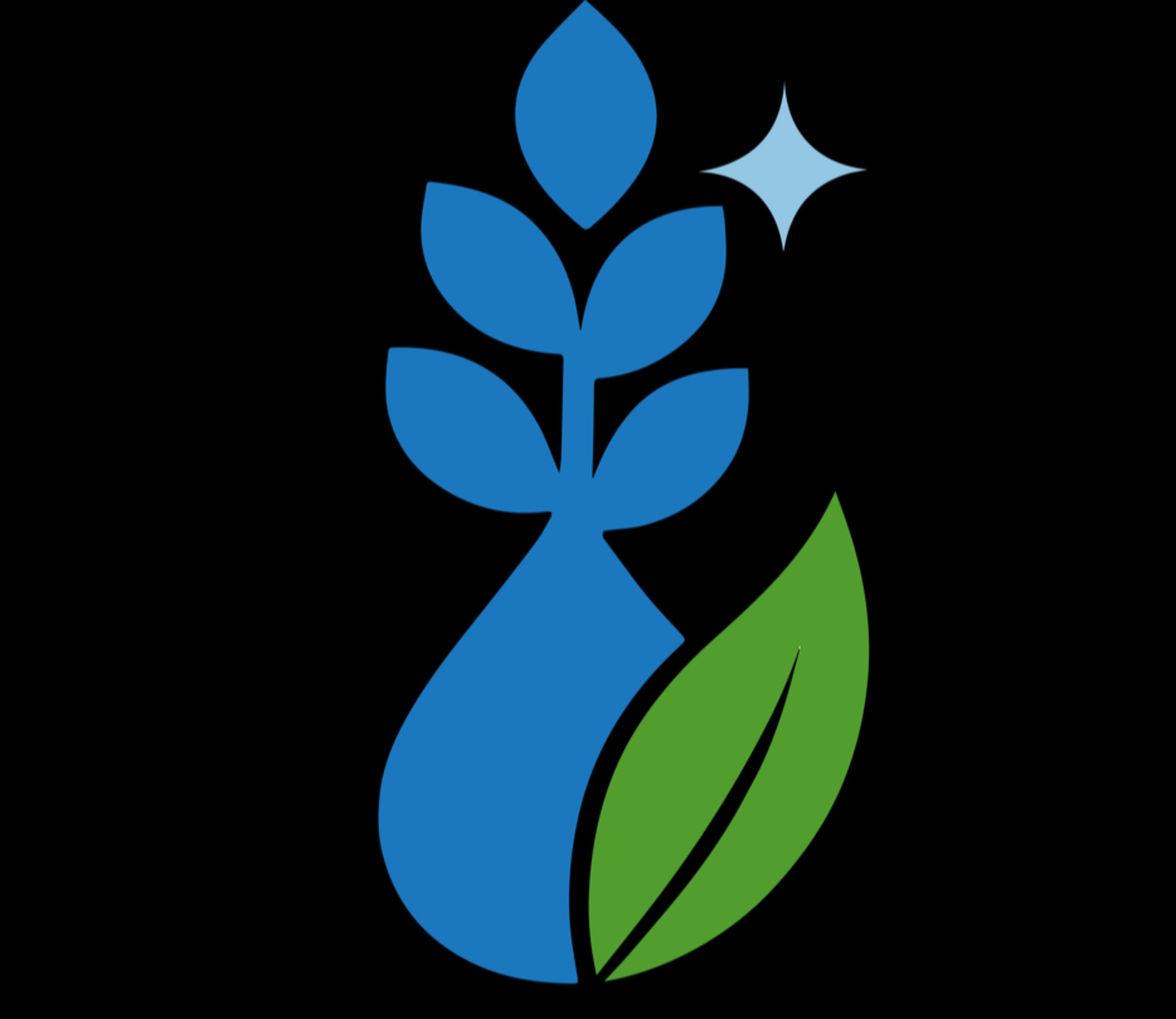 Limpiador / Limpiadora - Cleaner