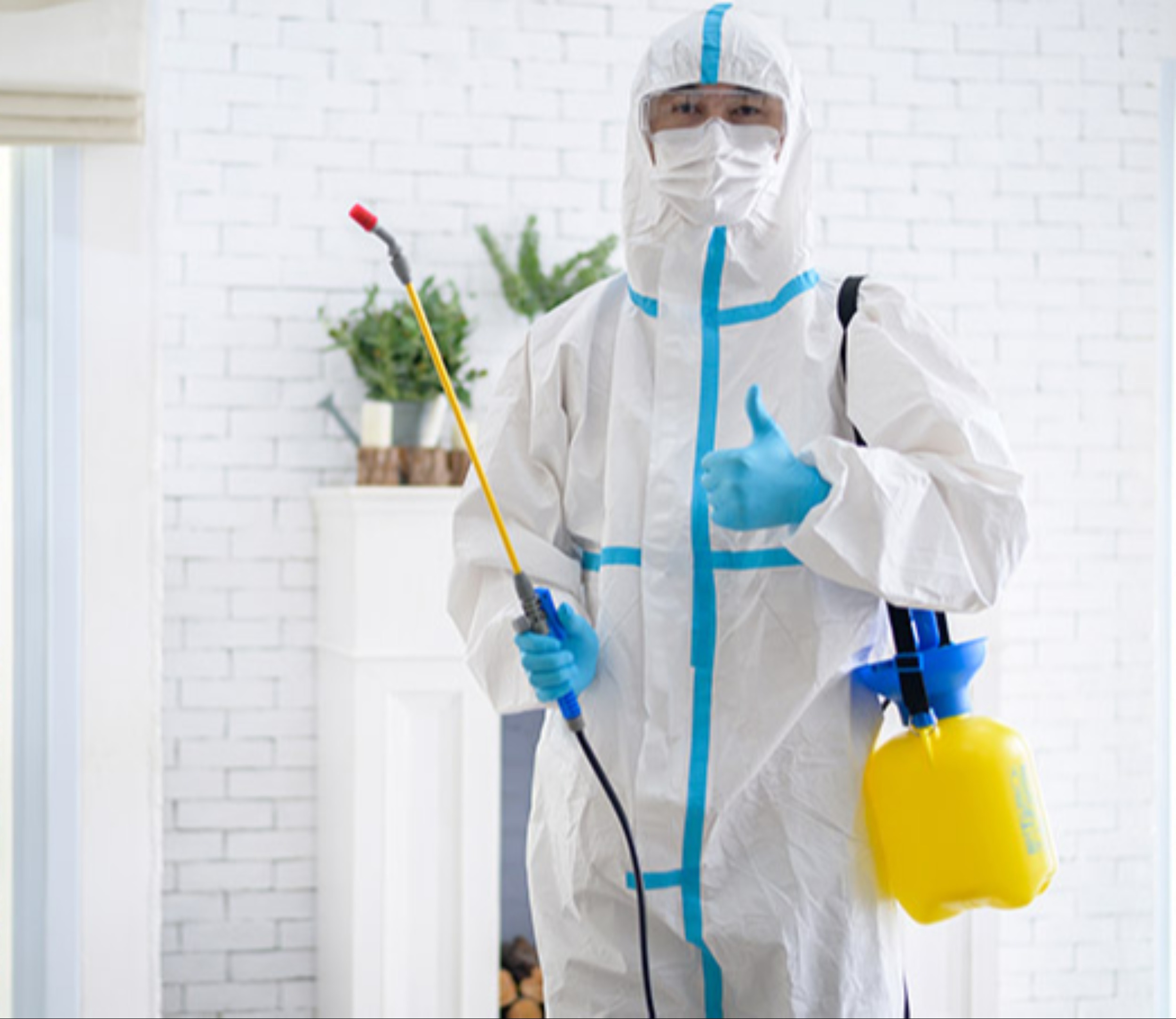 Solicitamos auxiliar para compañía de fumigación