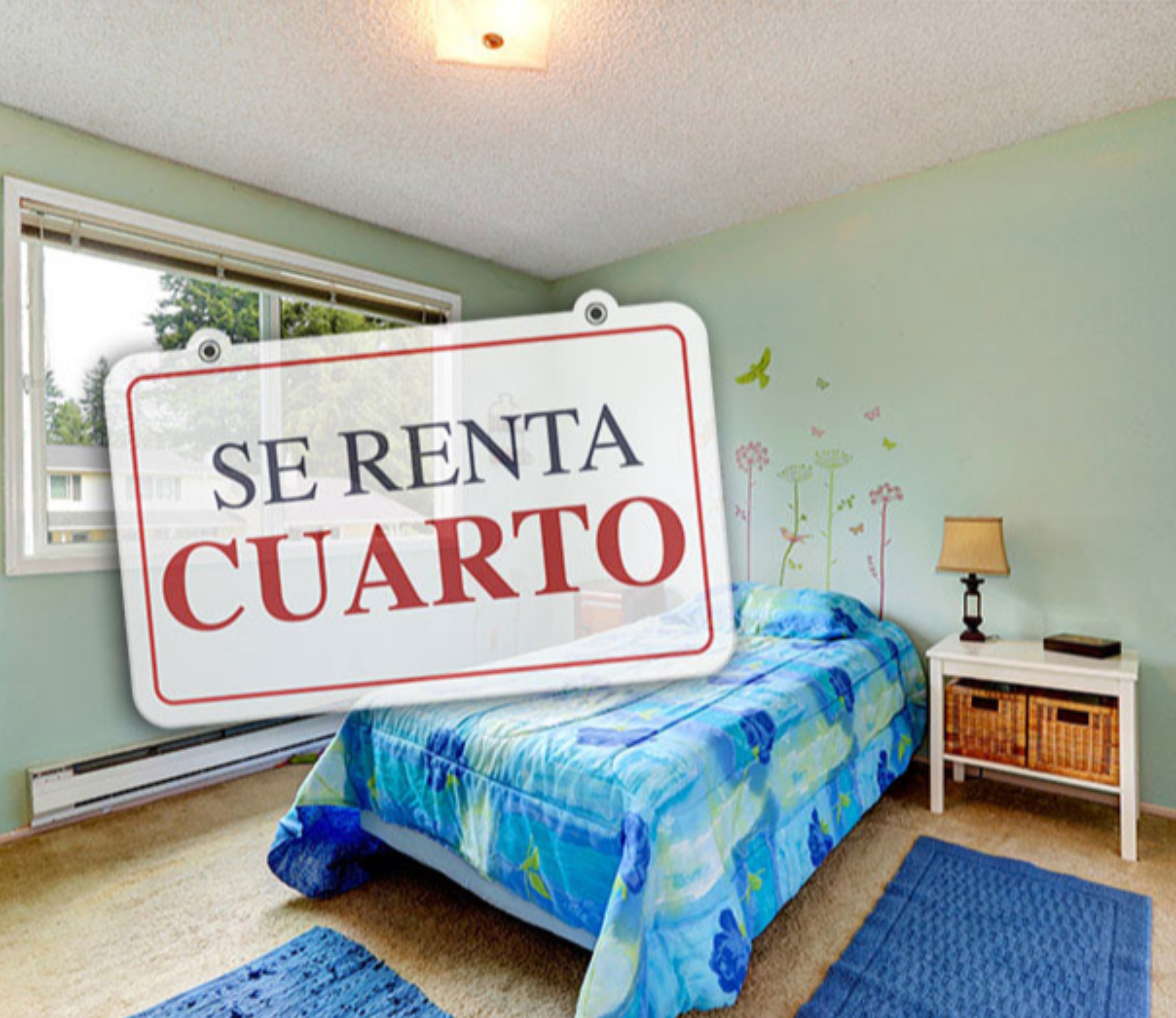 Apartment rent a room