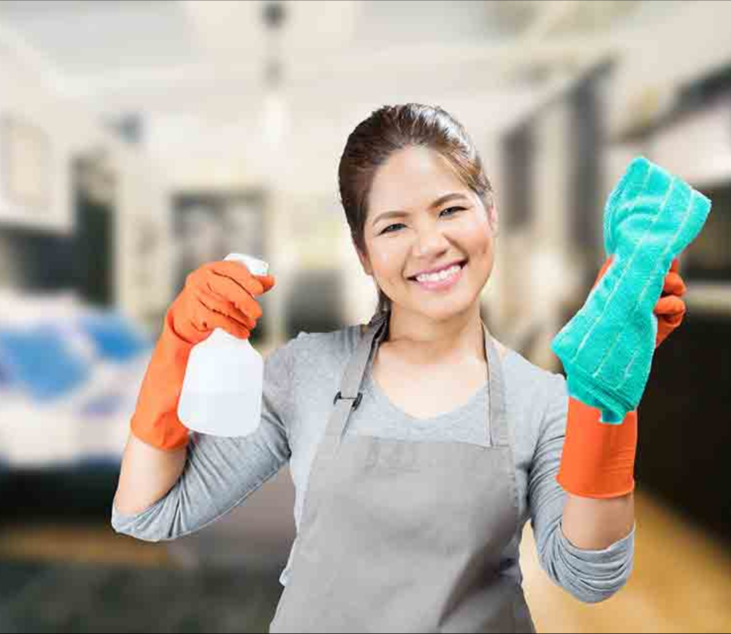 Busco "Housekeeper" vivir dentro