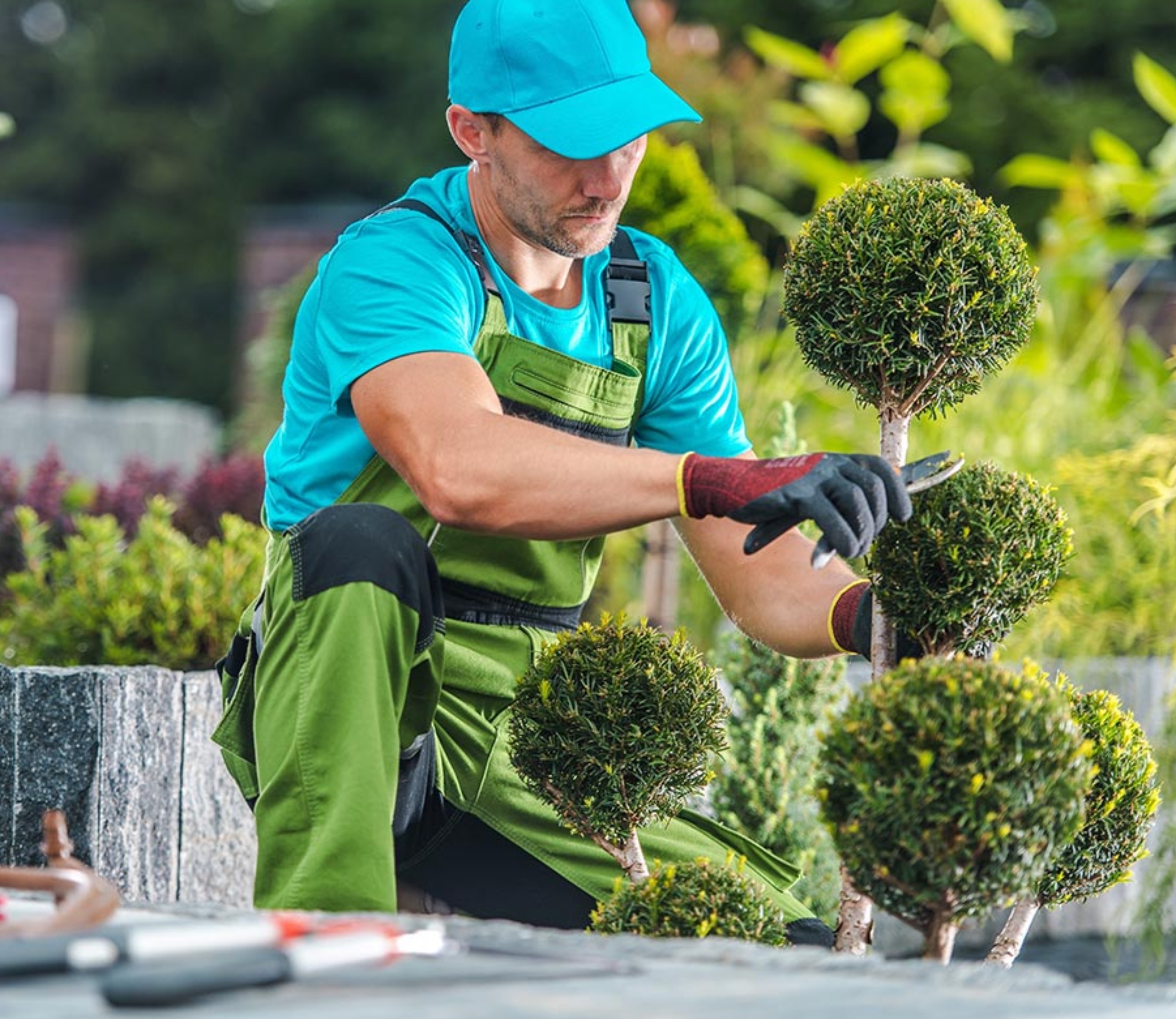 Busco personal (paisajismo) landscaping