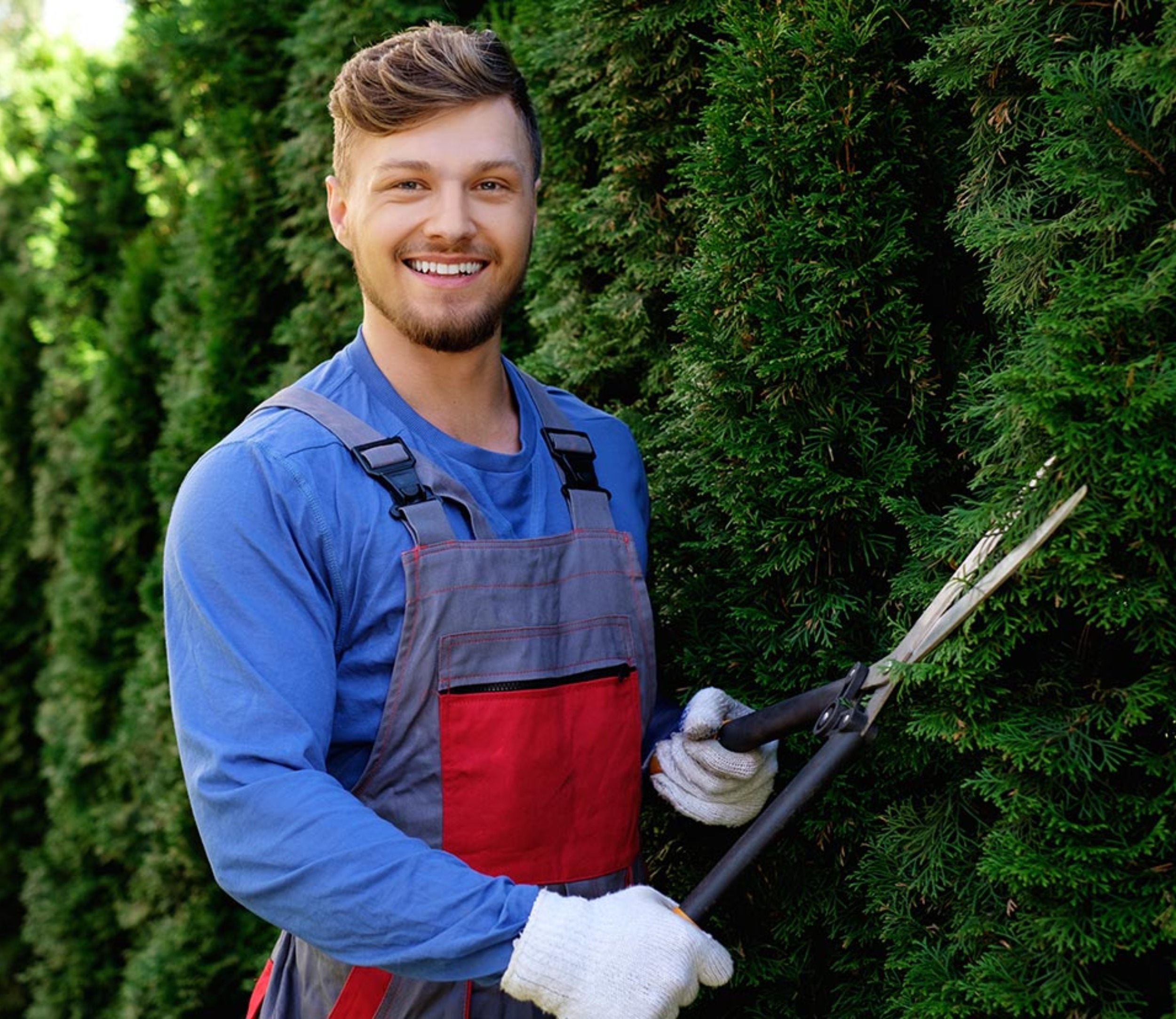 Solicito trabajador de jardinería.