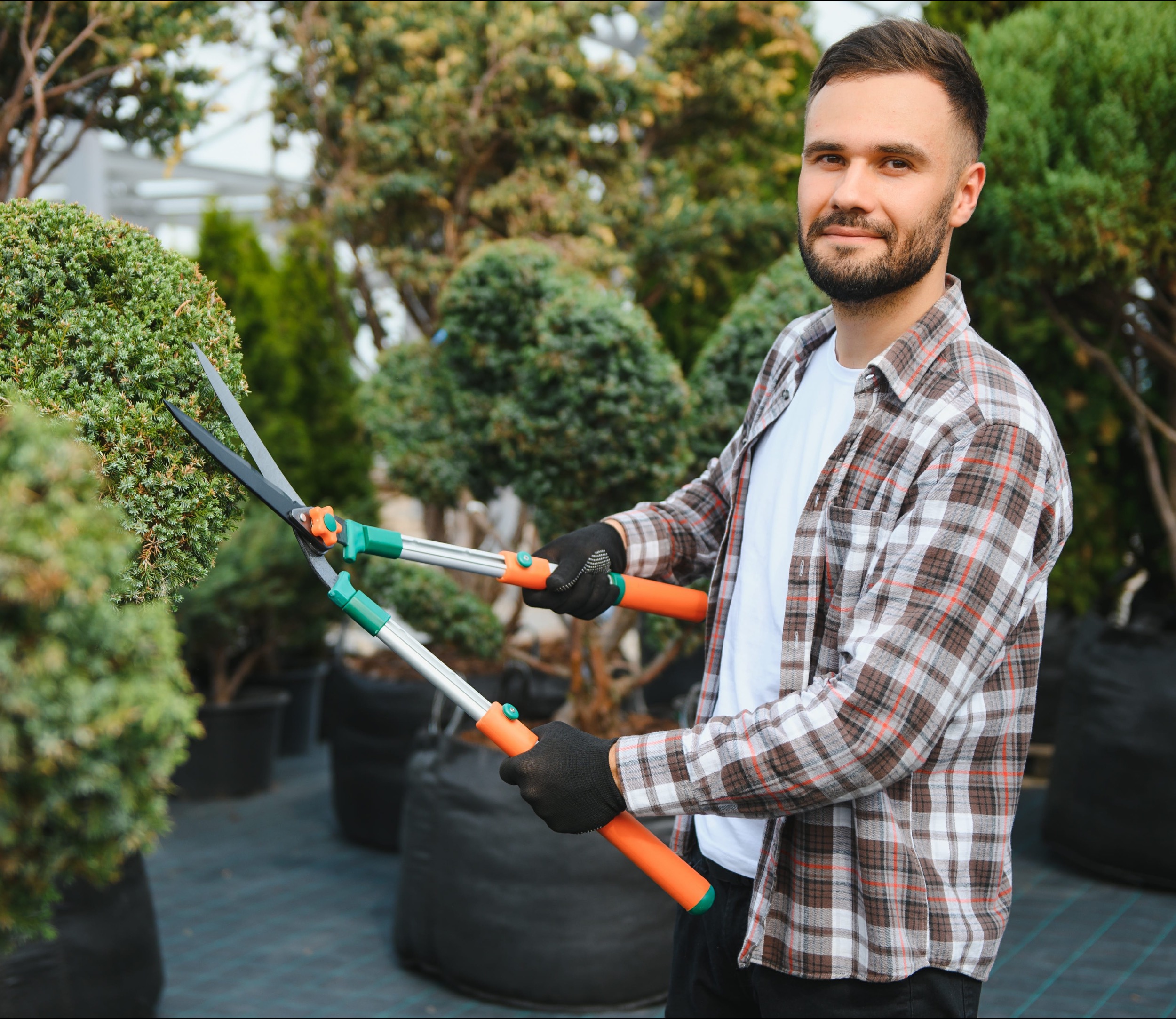 Busco jardineros profesionales
