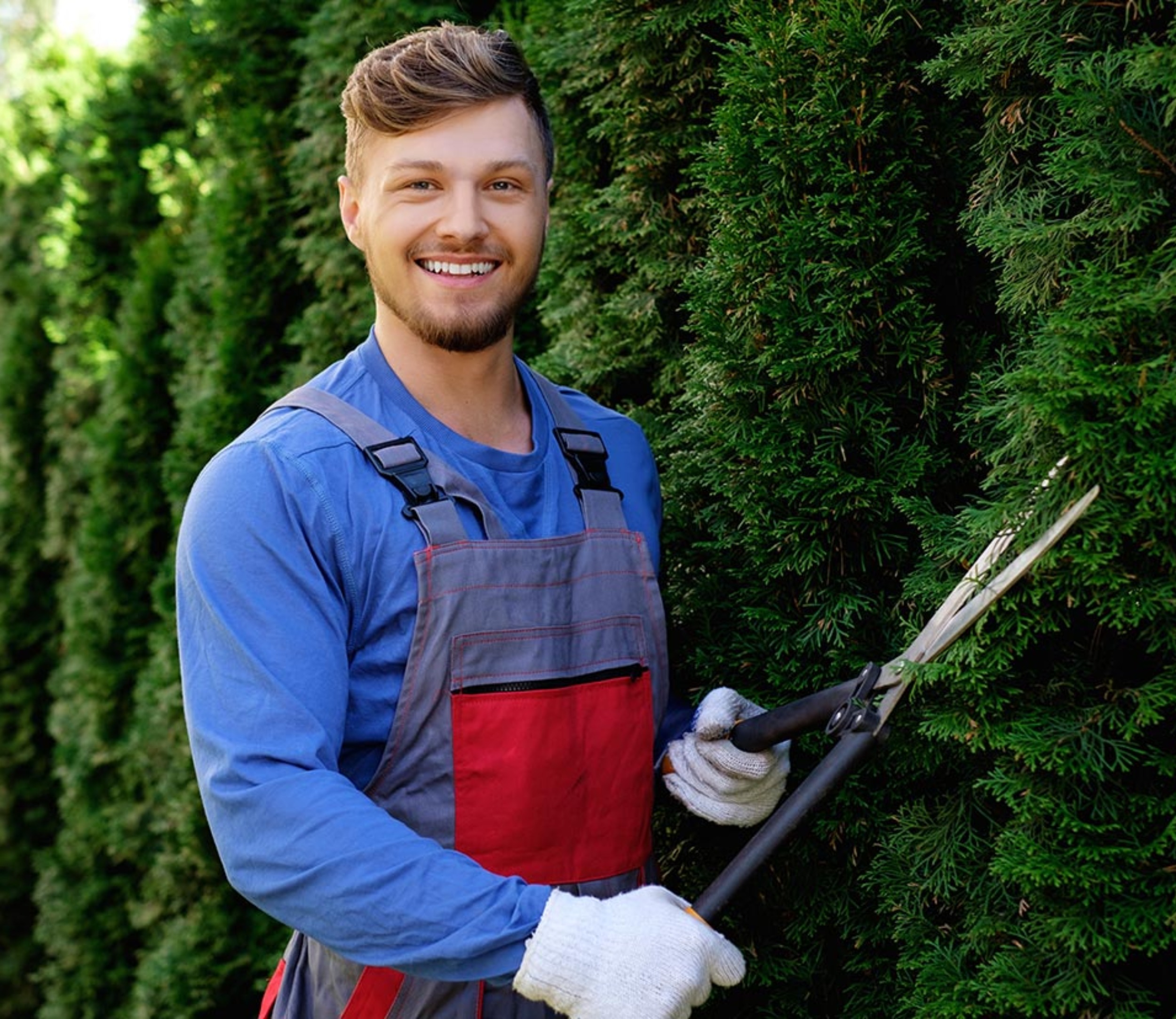 Solicito trabajador de jardinería