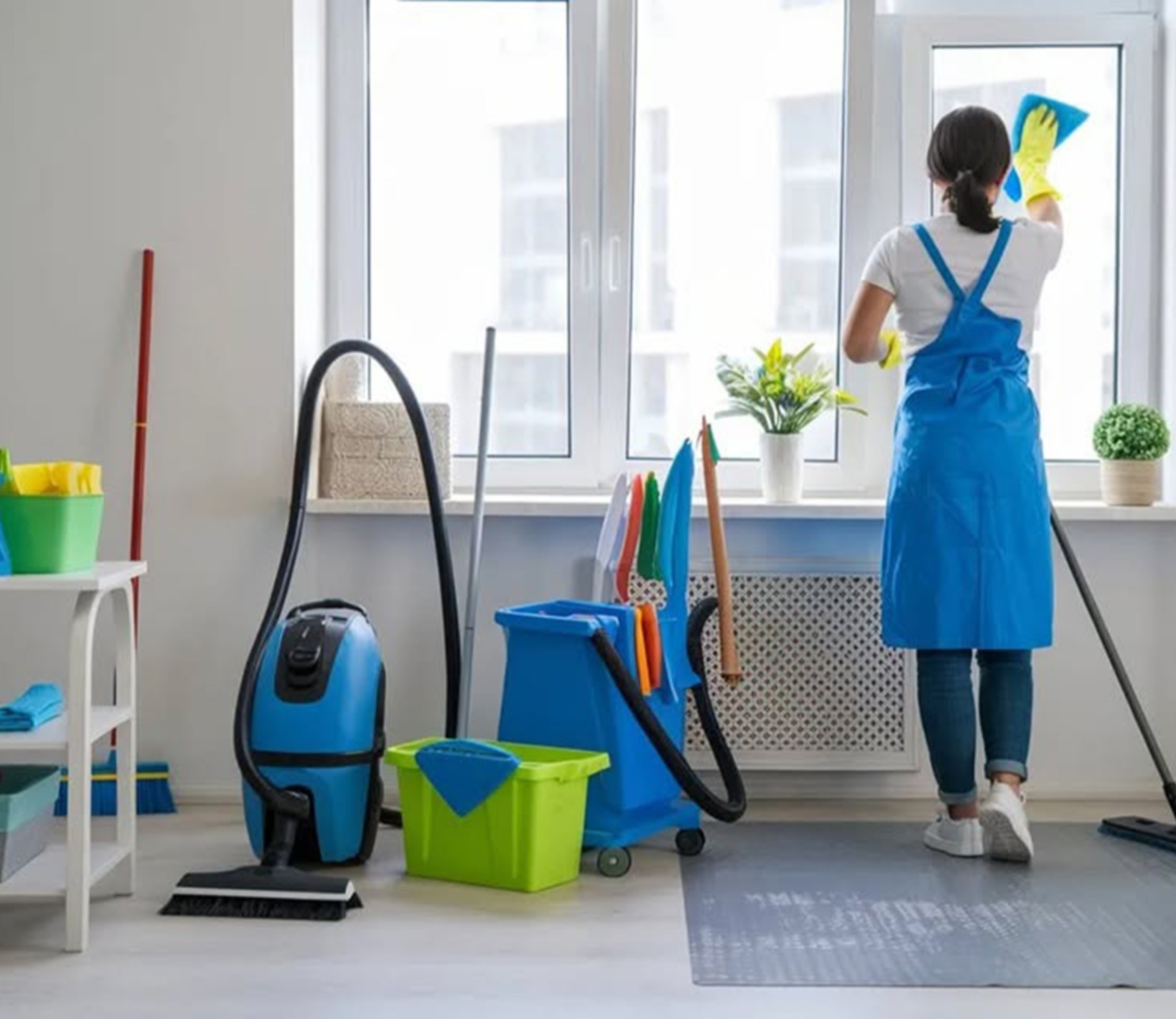 Maid service ( limpieza de casas)