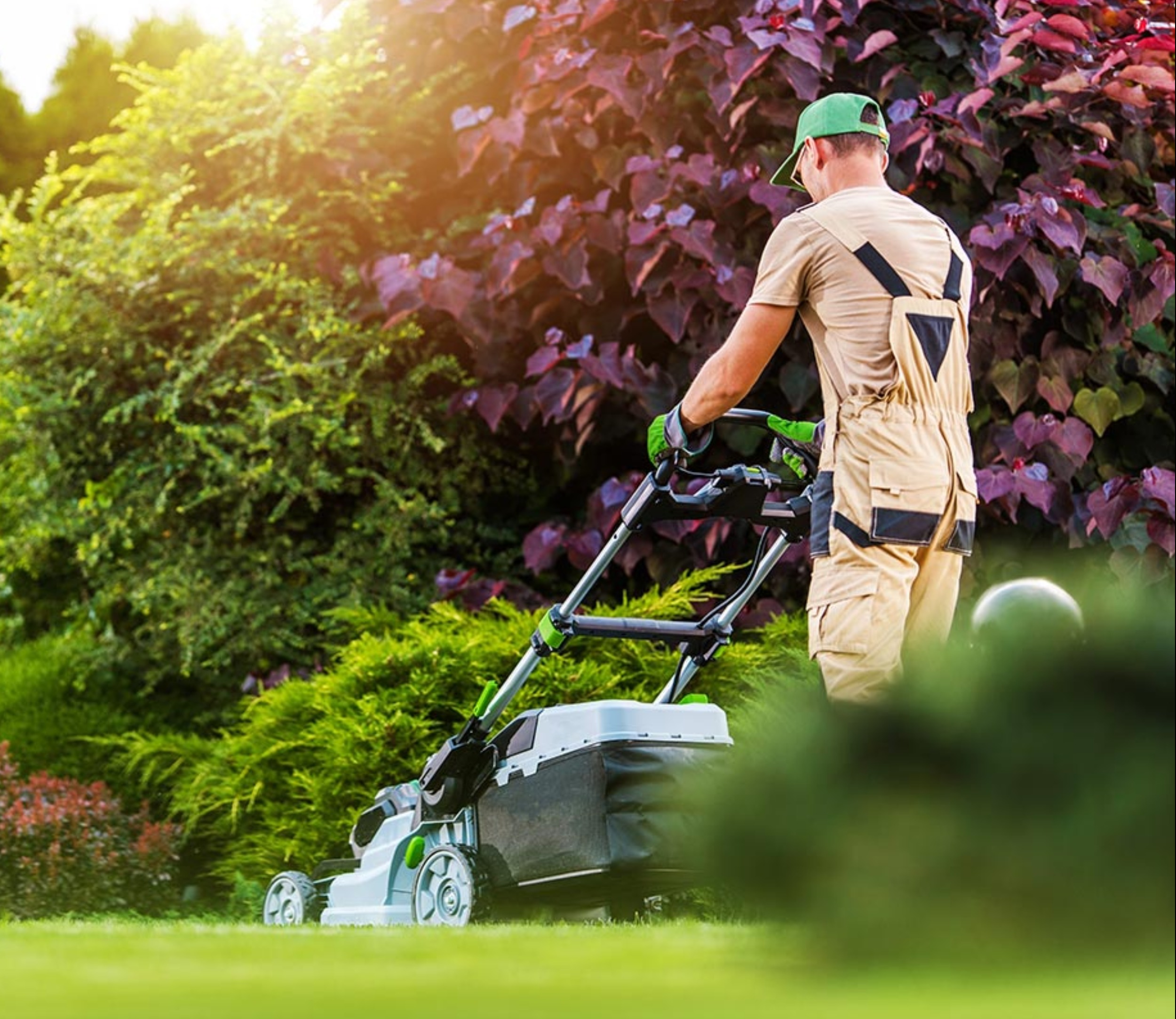Contratando Jardineros
